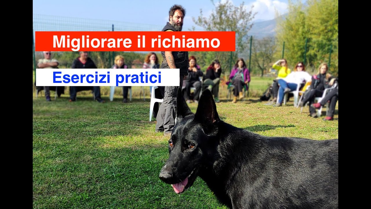 Migliorare il Richiamo. Esercizi Pratici