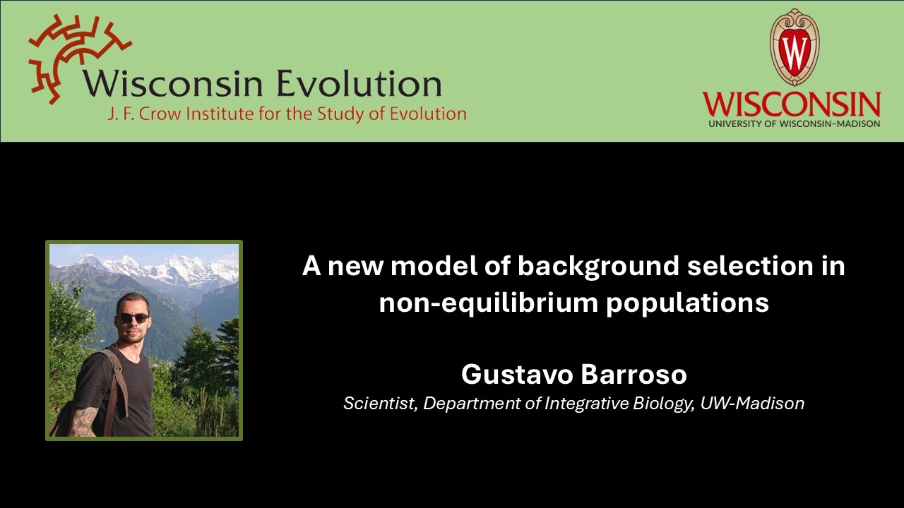 Gustavo Barroso: A new model of background selection in non-equilibrium populations