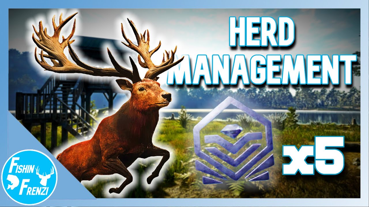 Stacking 5 DIAMOND Red Deer With Herd Management! | theHunter - Call of the Wild