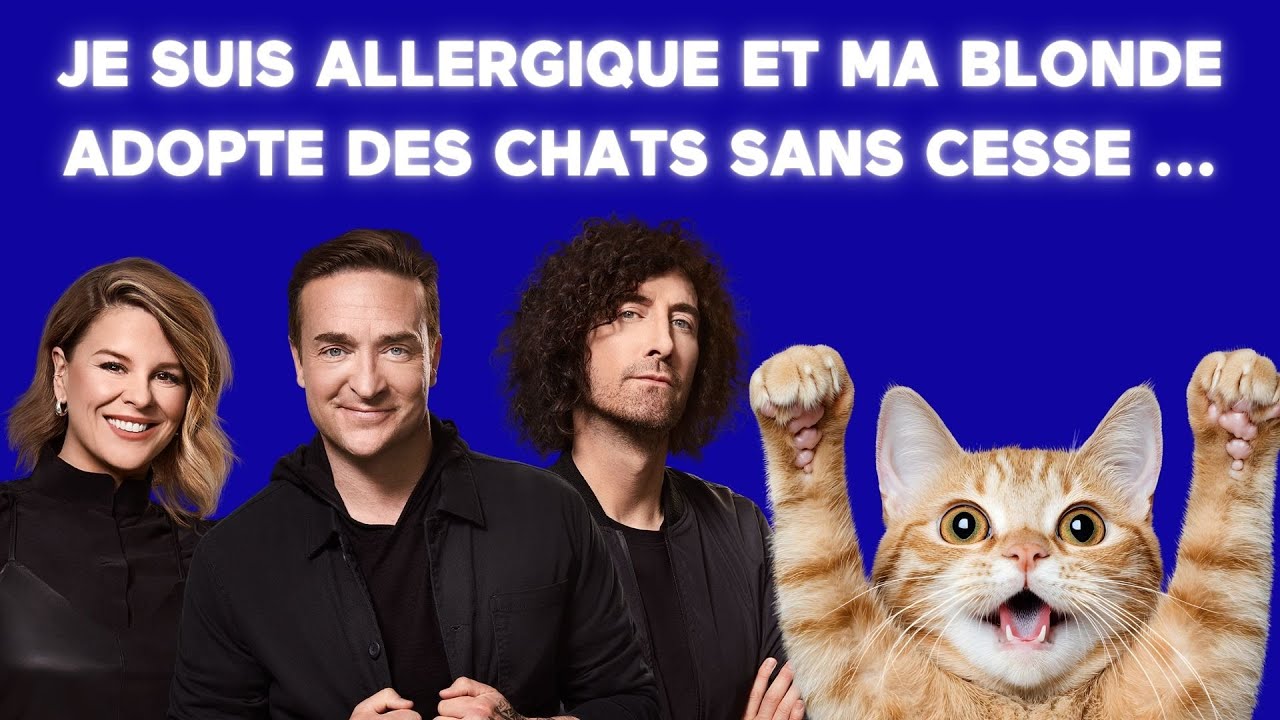 [ÉNERGIE] 😳 Je suis allergique et ma blonde adopte des chats sans cesse... 😳 – Révélations