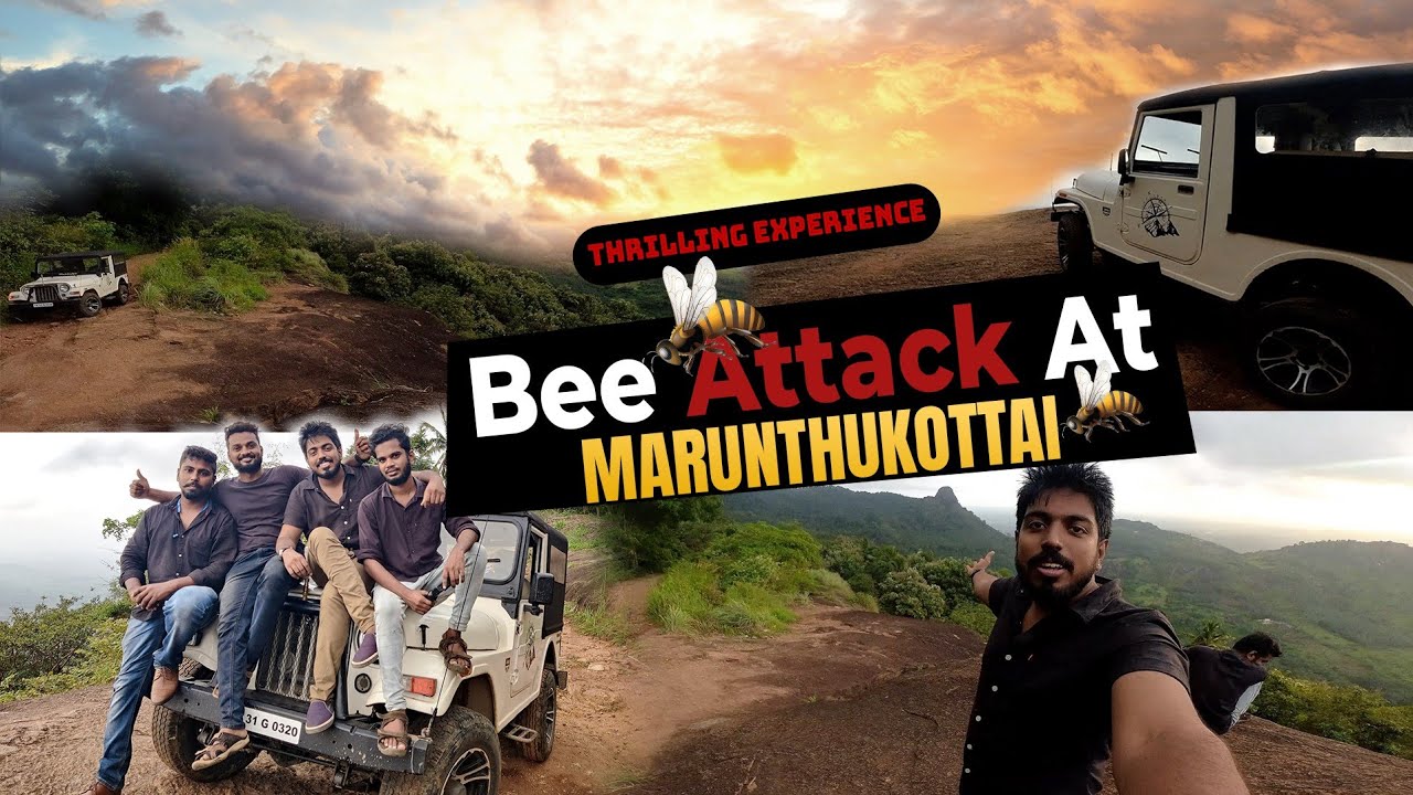 Offroading in Marunthukotai Hill Top | Bee attacked us |😱 ft. Dixon Vlogger