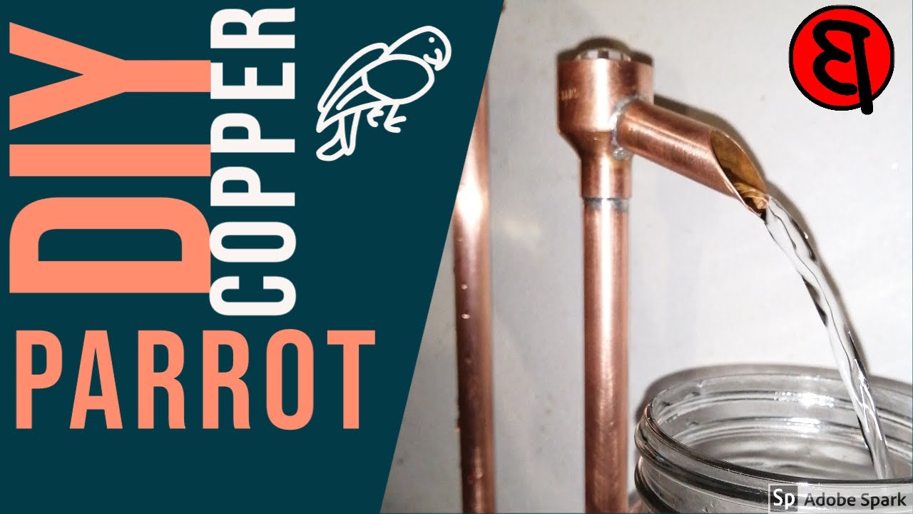 Distillers Parrot : Making a proofing Parrot to make Mampoer.