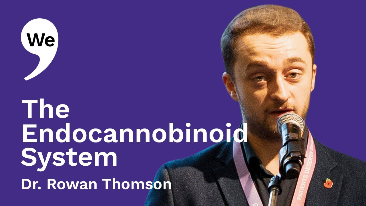 Your Endocannabinoid System Explained | The Key to Balance & Health by Dr. Rowan Thomson
