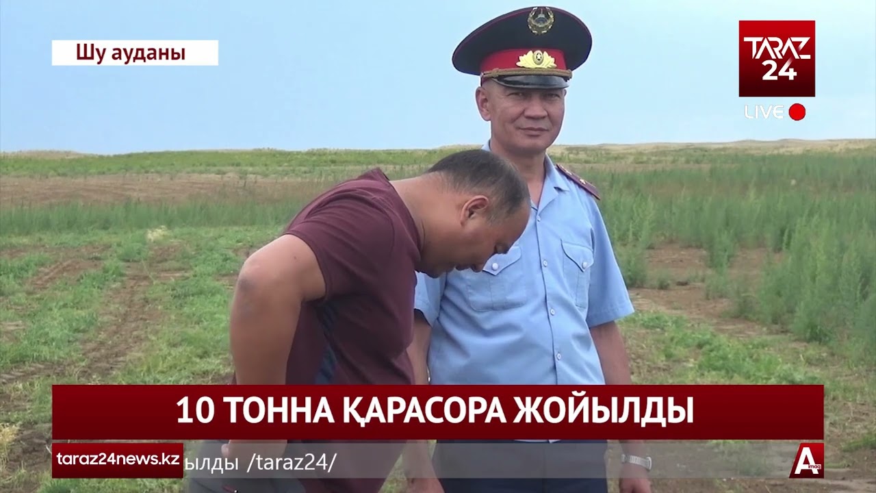 10 ТОННА ҚАРАСОРА ЖОЙЫЛДЫ