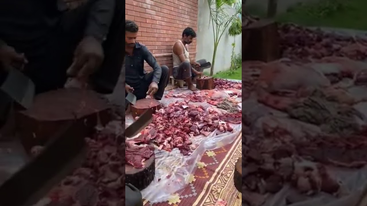 Eid ul Adha Qurbani 2022 #aminhafeez #tiktok #qurbani #2022 #cow #eid