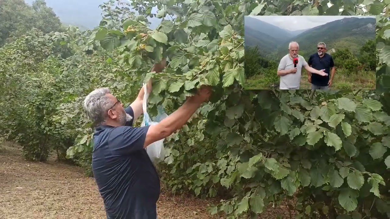 BÖYLE BİR EVİNİZİN OLMASINI İSTER MİSİNİZ