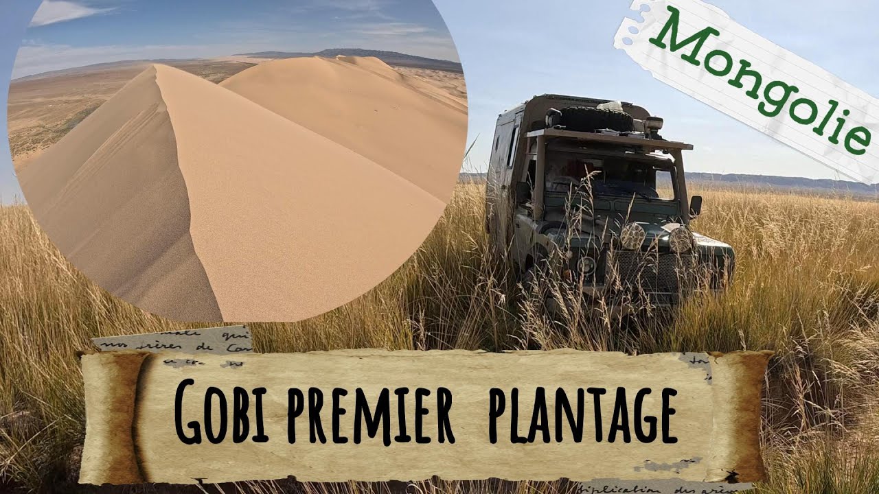 31. On monte sur la PLUS haute DUNE de Mongolie