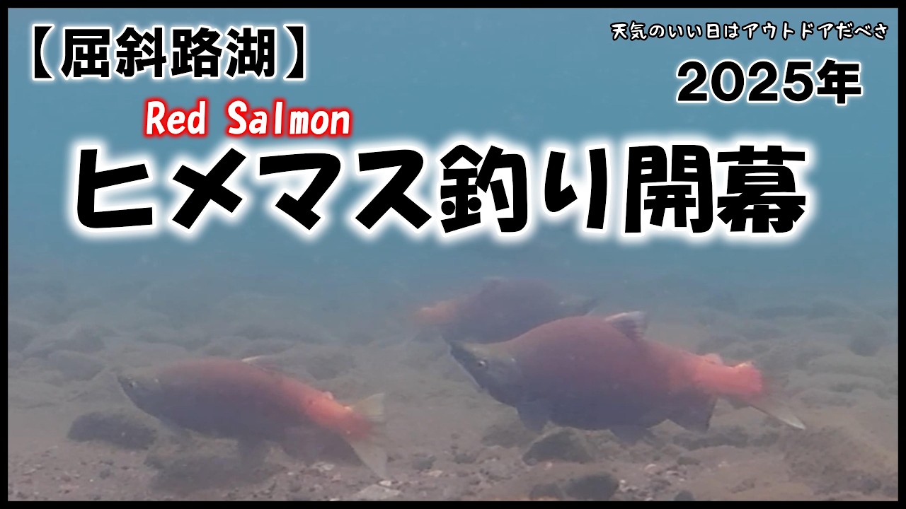 北海道 屈斜路湖ｌ秋の屈斜路湖のヒメマス釣りｌ水中動画もあるよ　　　　　#屈斜路湖 #姫鱒 #ヒメマス #ルアー釣り #水中動画 #婚姻色 #kushiro #自然界隈