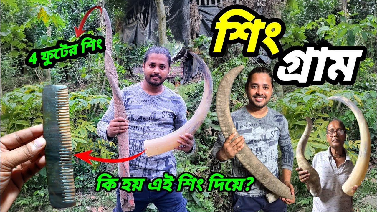 এই গ্ৰামে শিং দিয়ে চিরুনি তৈরী করা হয় | India's Most Famous Traditional Buffalo Horn Art Village |