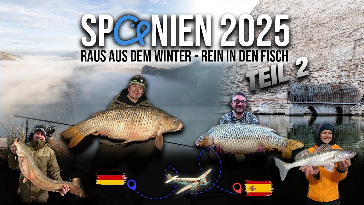 Angeln am Ebro 🇪🇸 im Winter ❄️| Gro&szlig;e Karpfen, Zander und Welse 🐳 | P.R. Baits 🎣 | | Boilie