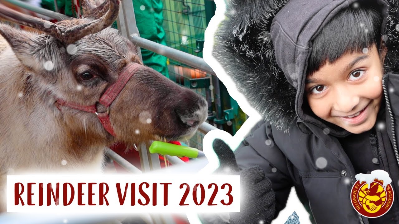 Reindeer Visit | Christmas | 2023