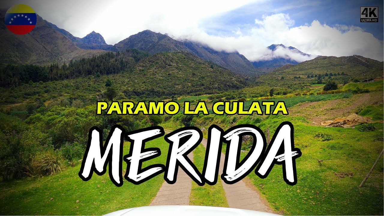 Ruta Andina: PÁRAMO DE LA CULATA, Edo. MERIDA. | DRIVING TOUR | VENEZUELA 🇻🇪 | 4K