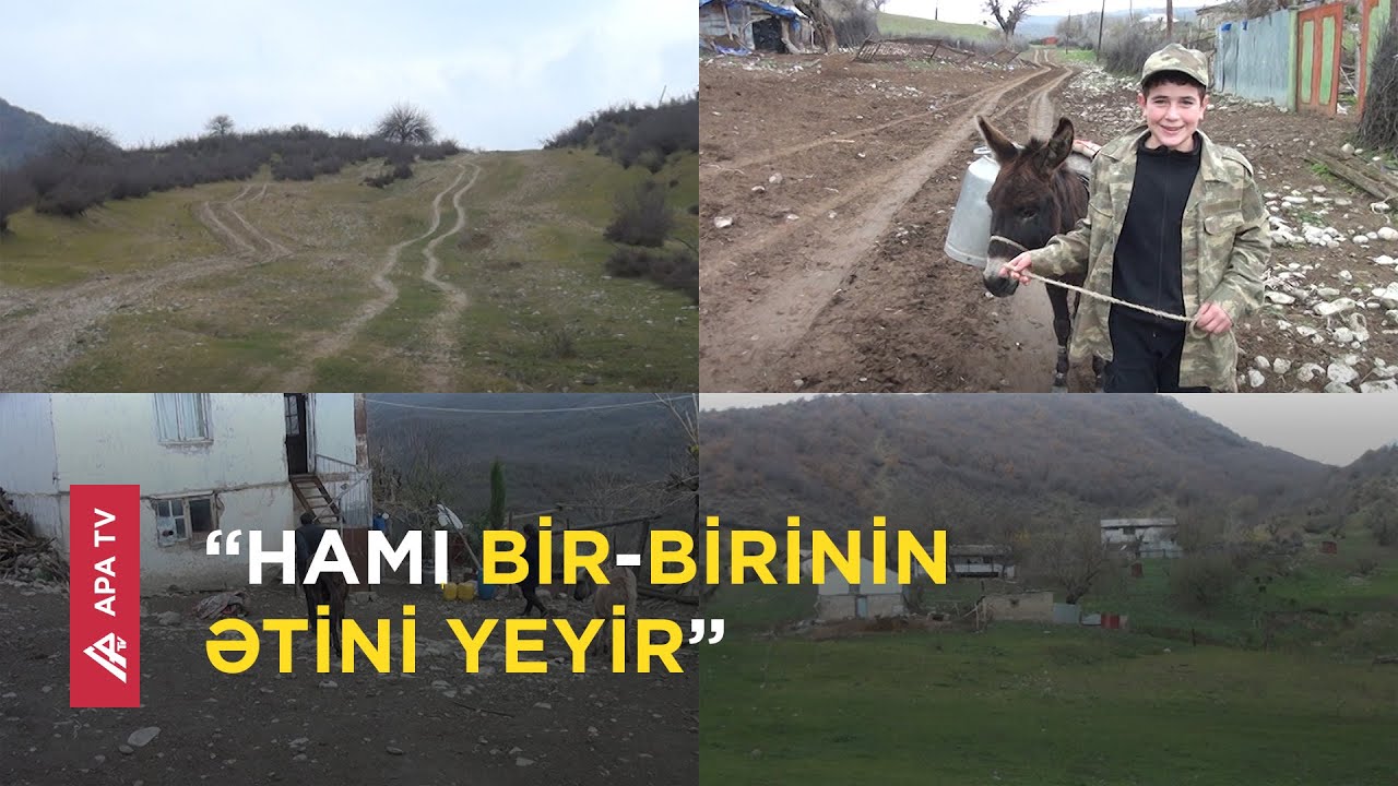 İsmayıllıda sakinlər bu kəndi tərk edir – Burada cavanlar hərf tanımır - APA TV