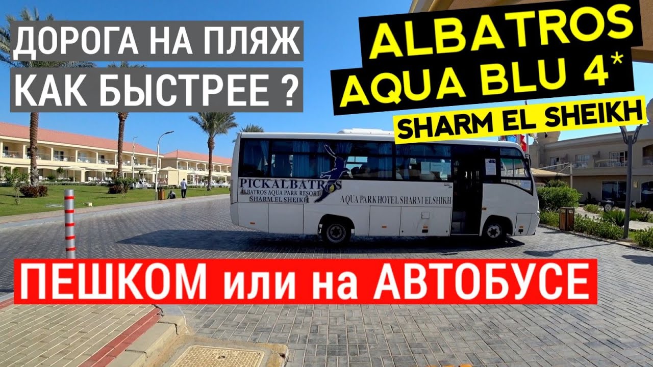 Отдых в Египте. Albatros Aqua Blu Resort 4* Дорога на пляж пешком  Как быстрее ? Шарм эль шейх