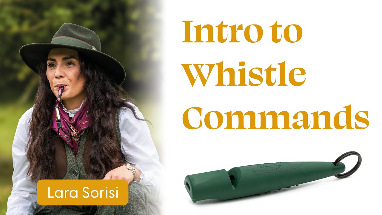 Into to whistle commands