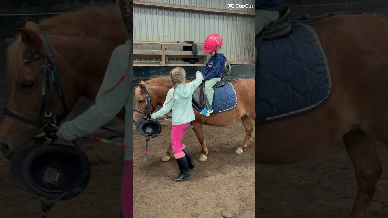 Surprise Memories 💕🦄 #heste #horse #friendship #memories