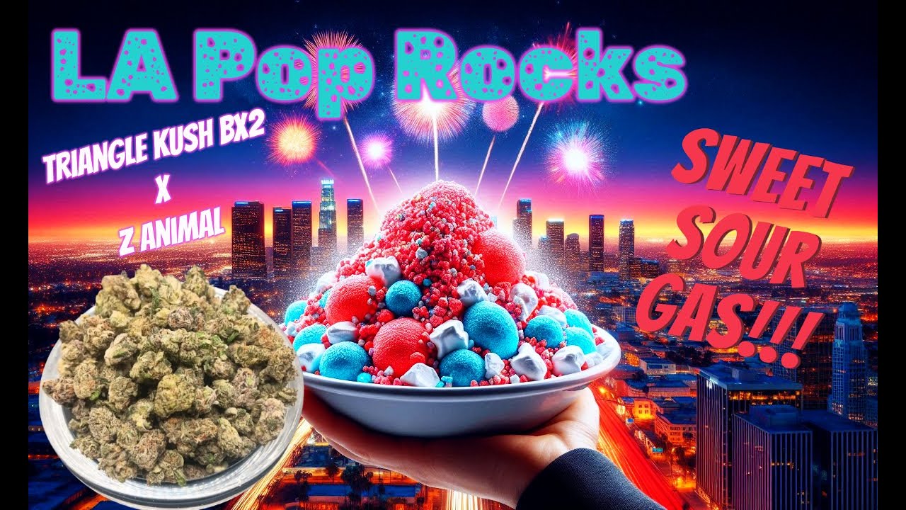 Trying ShopHelloMary LA Pop Rocks THCa Flower - Poppin' & Rockin'!