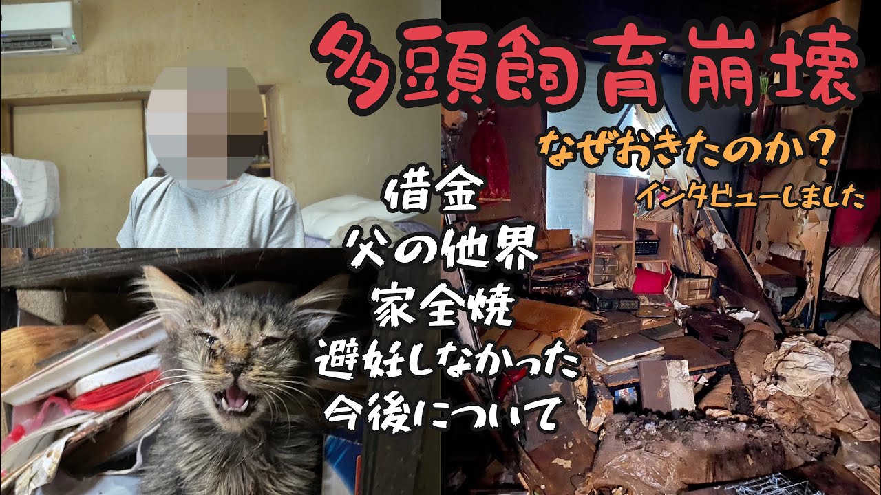 え？一軒家に猫が５０匹！なぜ？ 崩壊したのか。飼い主さんにインタビューしました‖福津市多頭崩壊からの復活＃１
