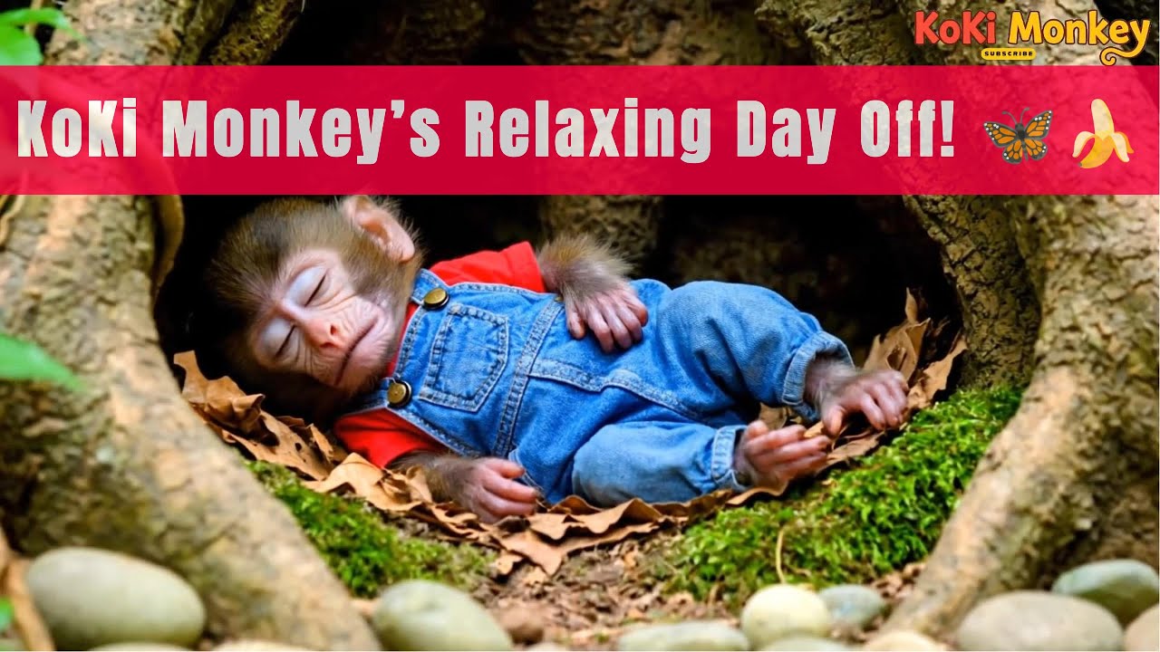 Funny Monkey Cartoon: Morning Routine & Nature Adventure | Peaceful Farm Life|Vlogs 01