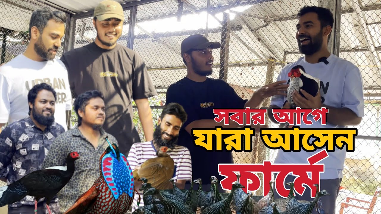 অর্ণব,চাষী মানিক ও পাভেল এবং নবেল কি কি ফিজেন্ট  নিলো | Pheasant Bird Imported