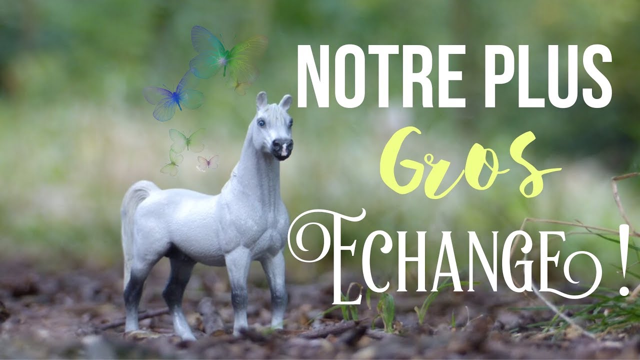 [Colis/Achats 43] Échange avec Bac à Schleich 3 !