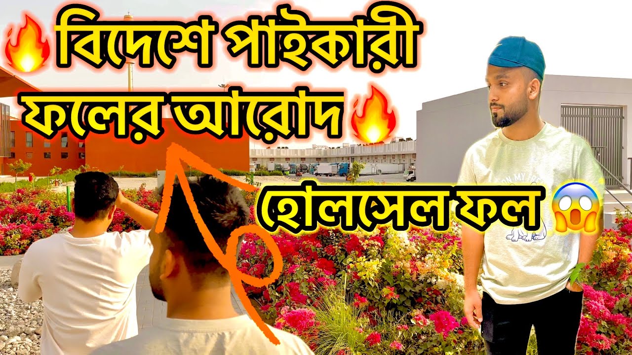 বিদেশে পাইকারী ফলের দোকান🔥🔥 হোলসেল ওমান🇴🇲 বারকা ফলের আরদ🔥 কম টাকার ফল ওমান বারকা। আরব দেশের ফল