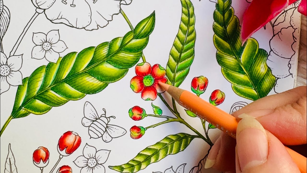 Tutorial | How to color a flower | secret garden | Johanna Basford | prismacolor 
