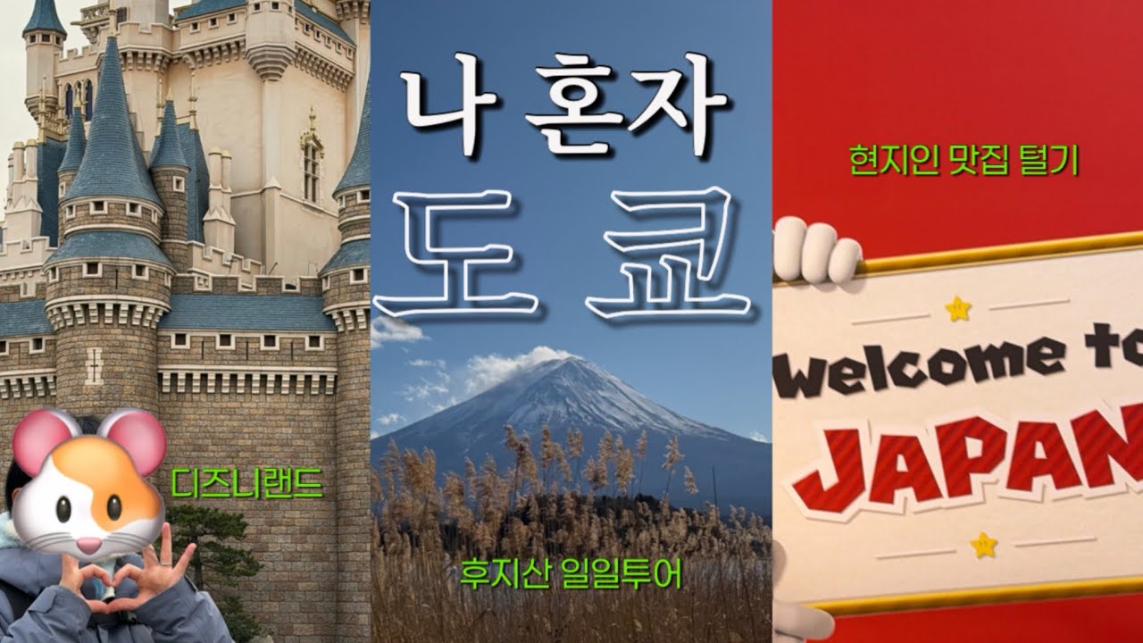 나 혼자 4박5일 도쿄여행 1편(김해공항 출발,후지산 일일투어,도쿄 디즈니랜드,현지인 맛집,도쿄마트털기)