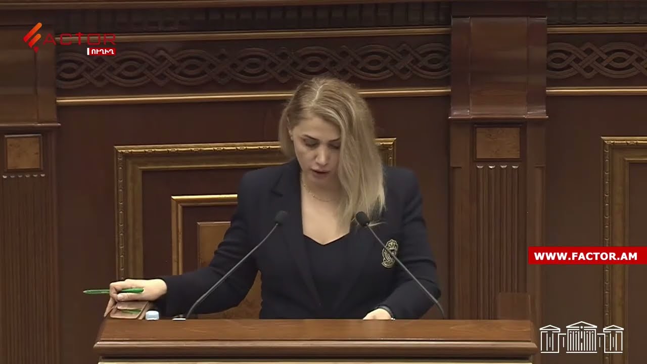 ՀՀ-ում ահագնացել են քաղաքական ճնշումները․ Էլինար Վարդանյան