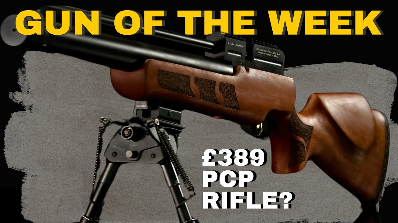 This PCP Air Rifle Costs &pound;389 &ndash; But Looks & Feels Premium