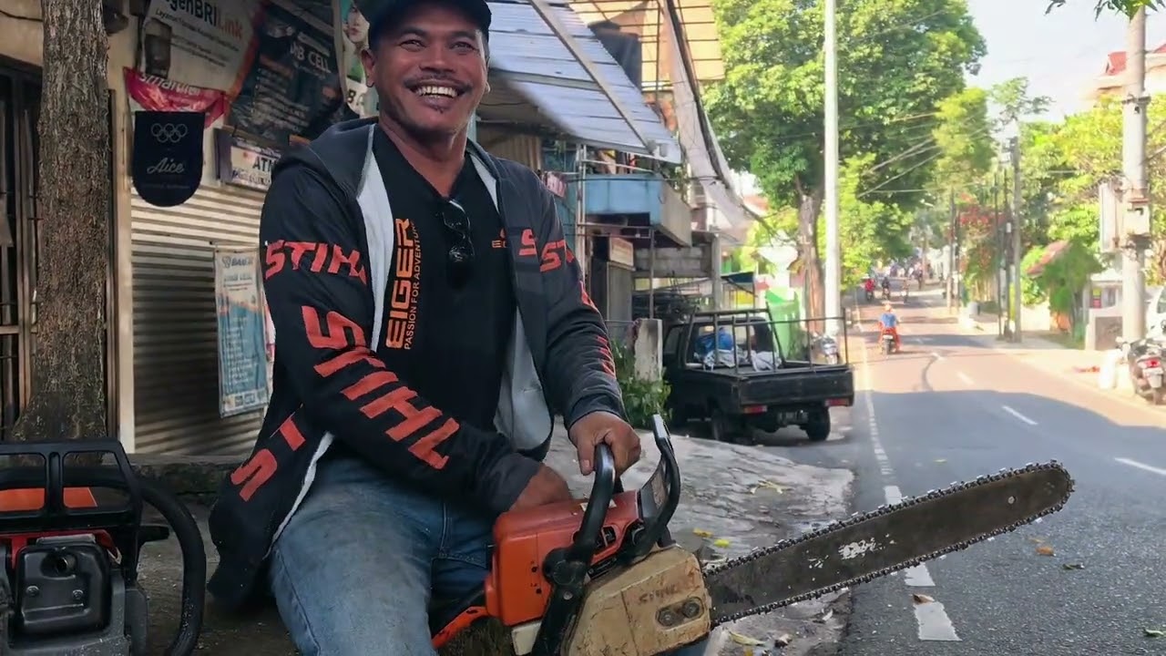 Stihl ms 250 VS Holzfforma G255