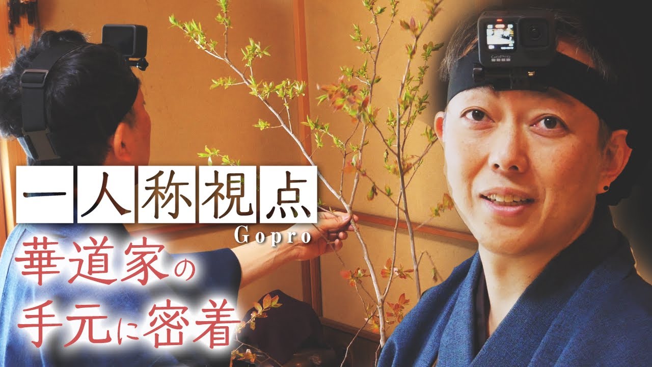 GoProを装着して、華道家 宮本理城の目線を公開します！夏ハゼとダリアを使った生け花（盛花/大善型）を生けます。