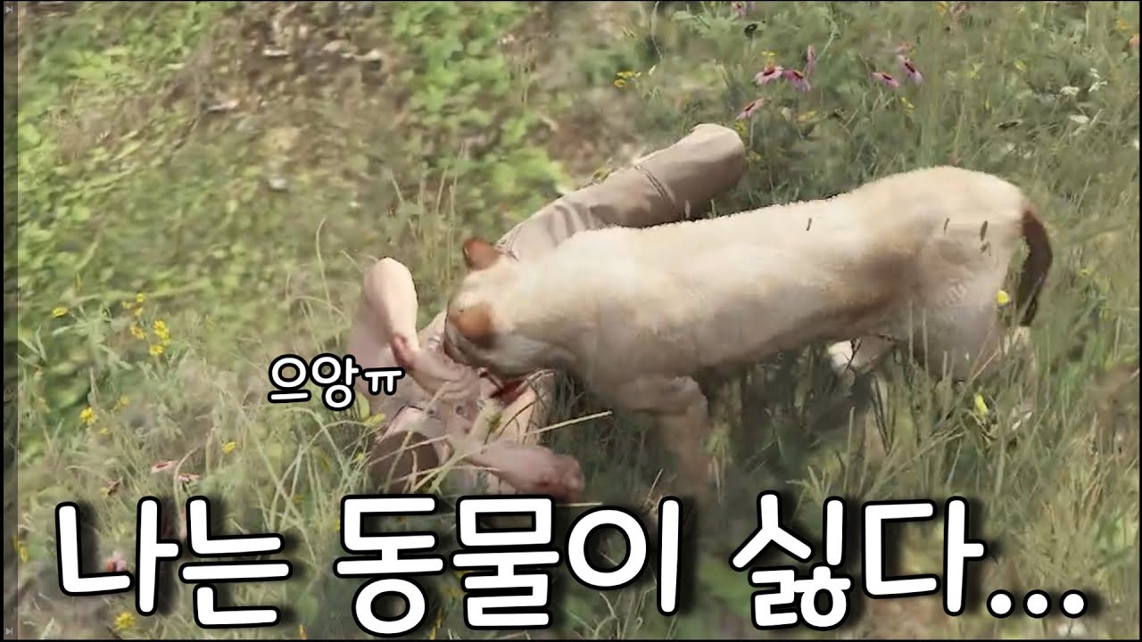 사진 찍다 생긴 일