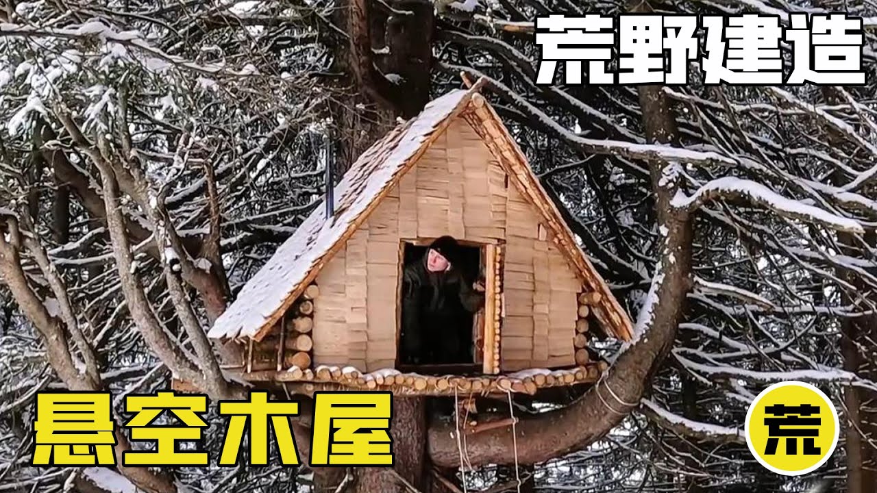 男人改造20米高的古樹，秒變安全庇護所，保準沒人能發現！