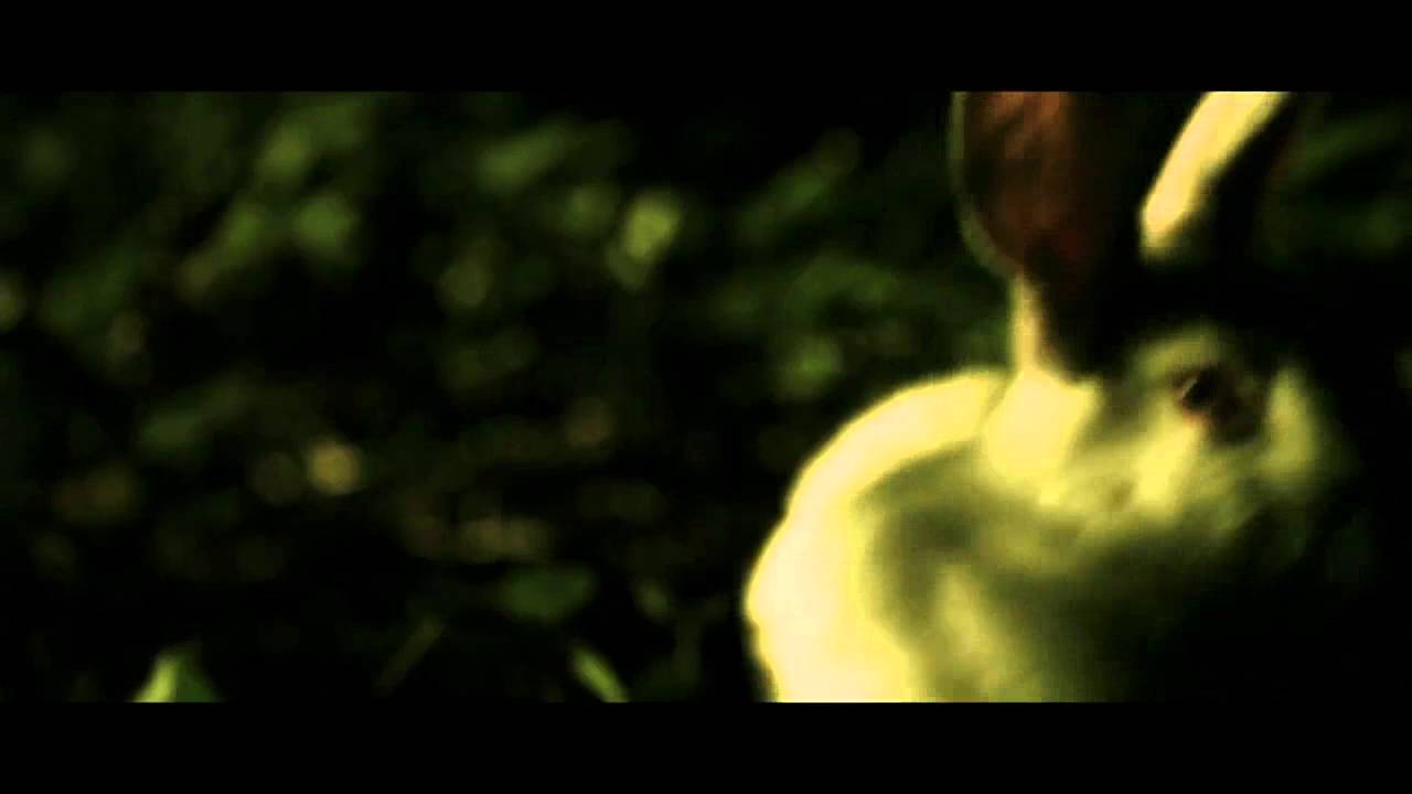 Tierra de Conejos-Luzparis