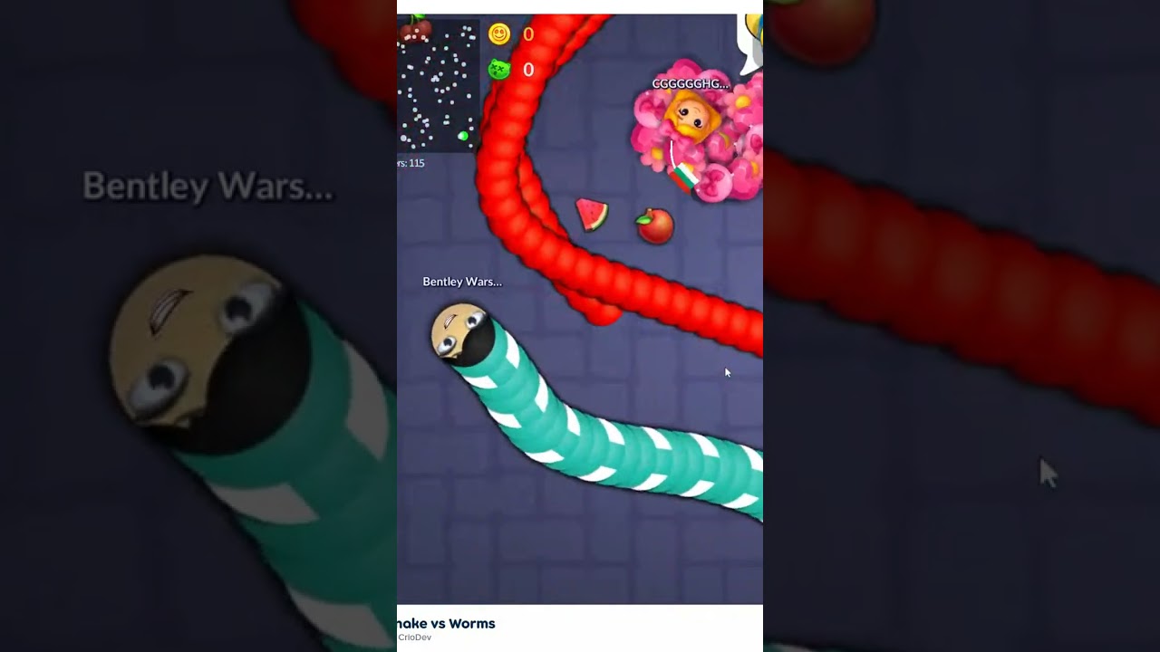 qualche partita nel chill a snake