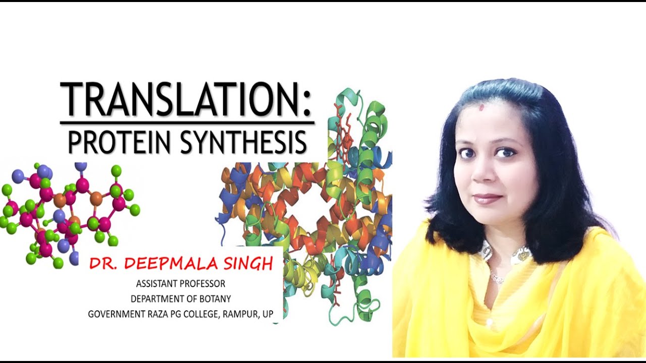 TRANSLATION: PROTEIN SYNTHESIS by Dr. Deepmala Singh