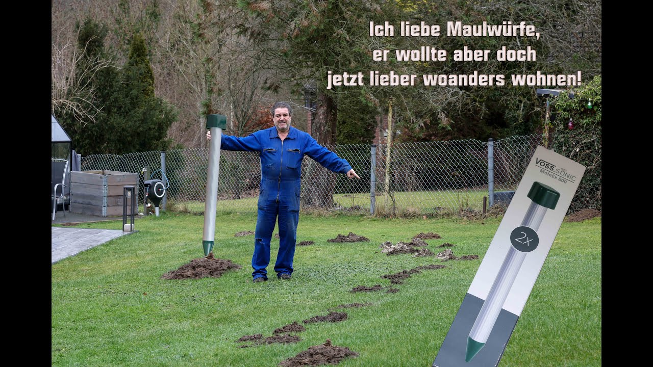Maulwurf vertreiben -ENDLICH- Voss-Sonic 800 Ultraschall Teil 1 achtung Werbung
