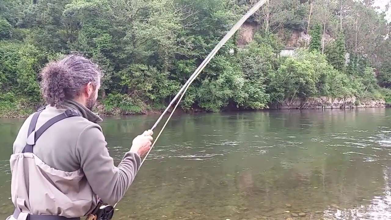 La espectacular pesca del salmón a mosca, coto La Figal, Ríos: Nalón-Narcea, Tino Faez.