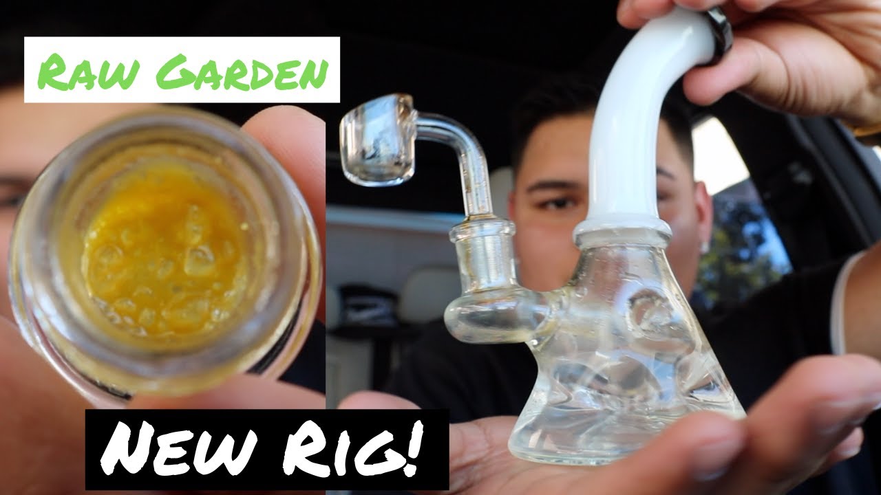 New Dab Rig car session + Raw Garden Review