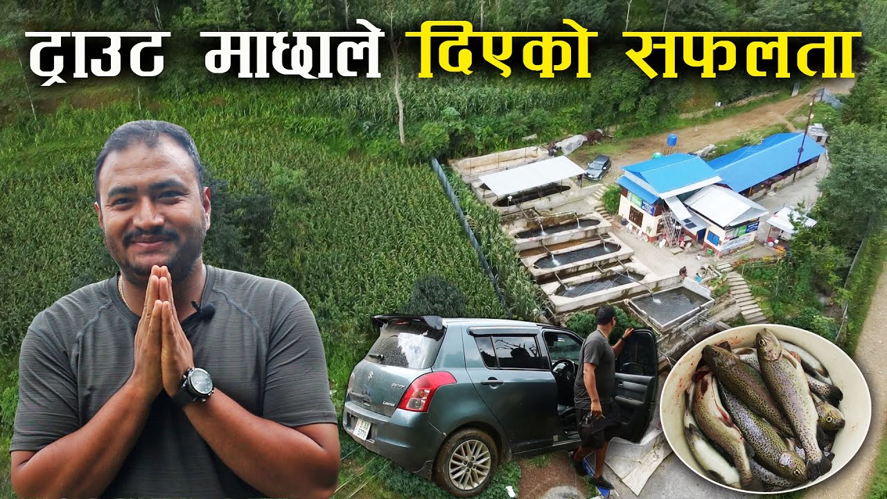 ट्राउट माछाका कुरा - Interview with Upendra Ranjitkar | Rainbow trout farming in Nepal