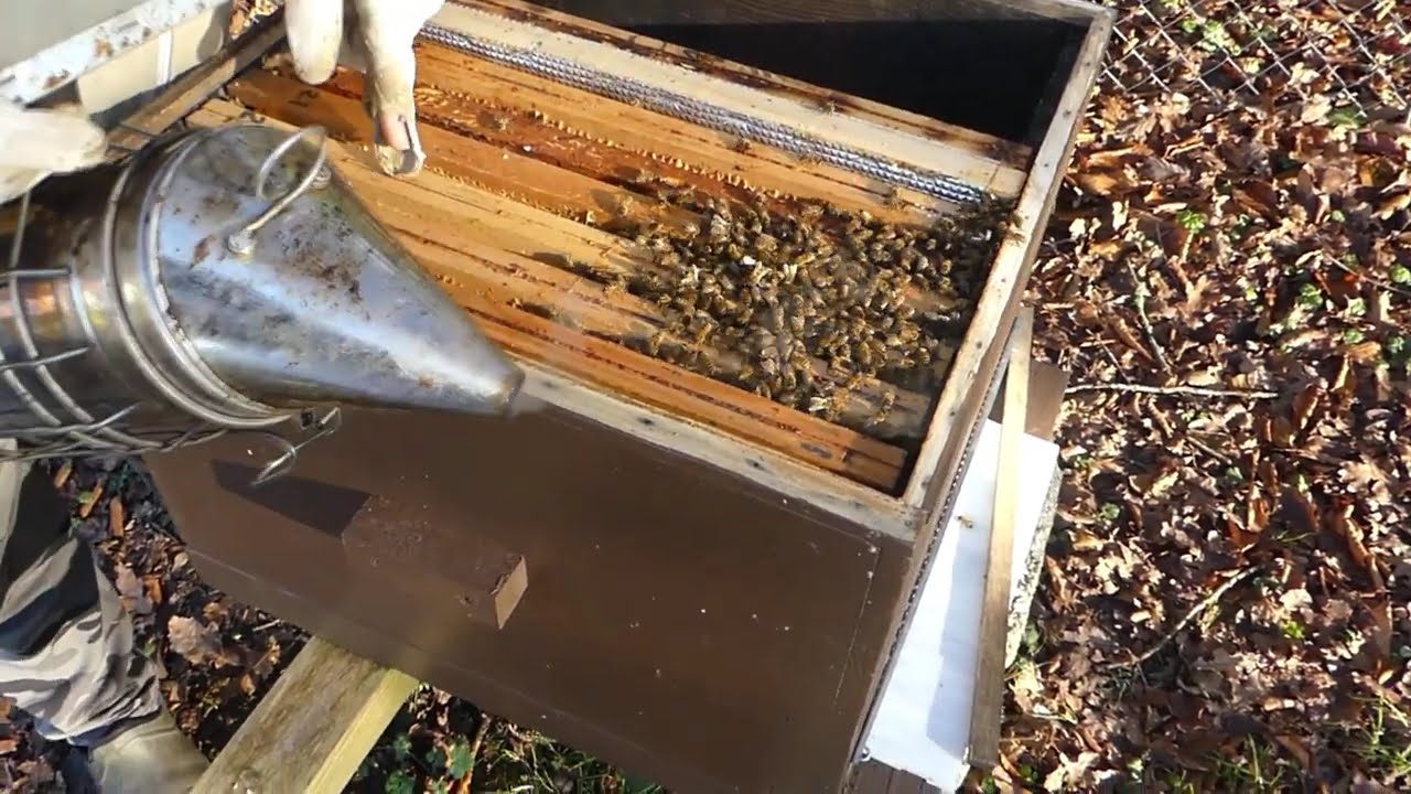 S04E05 | Traitement varroa hors couvain