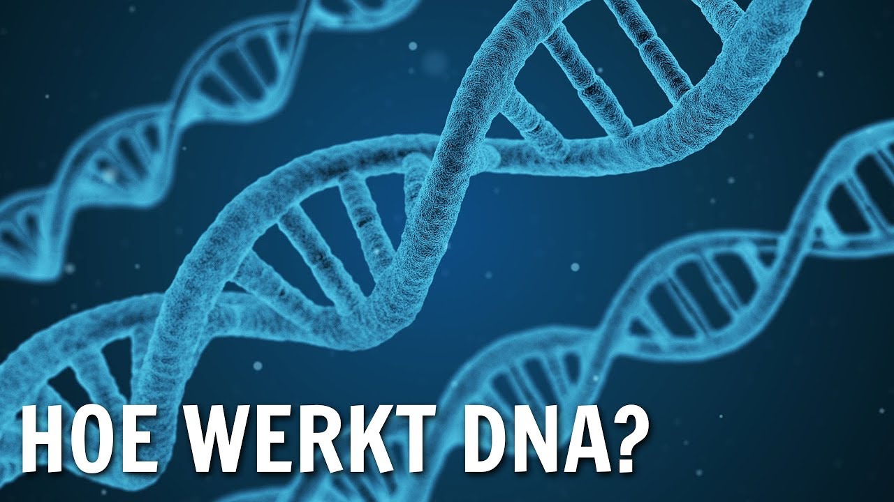 Hoe werkt DNA? | De Buitendienst over DNA