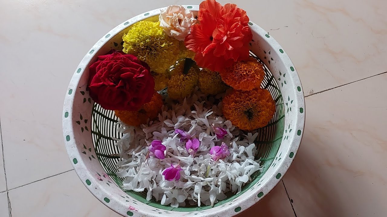 বাড়ির গাছের কত ফুল হয়েছে।