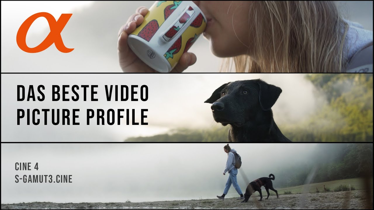Das BESTE Sony Fotoprofil und wie man es bearbeitet! Das Farbprofil für Videos!