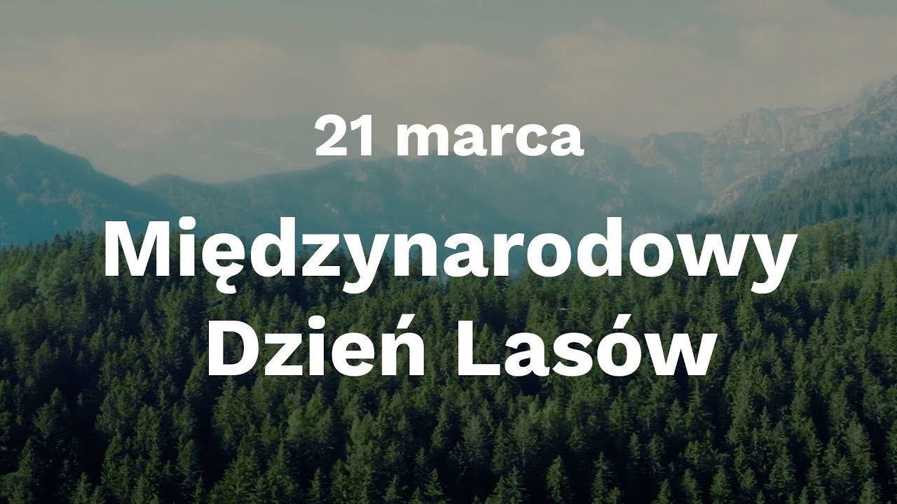 21 marca. Międzynarodowy Dzień Las&oacute;w