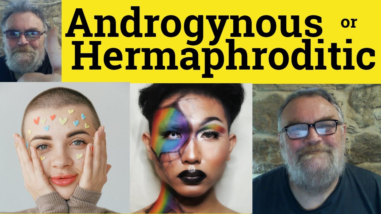🔵Androgynous vs Hermaphroditic Meaning Hermaphrodite or Androgyne Defined Hermaphroditic Androgynous