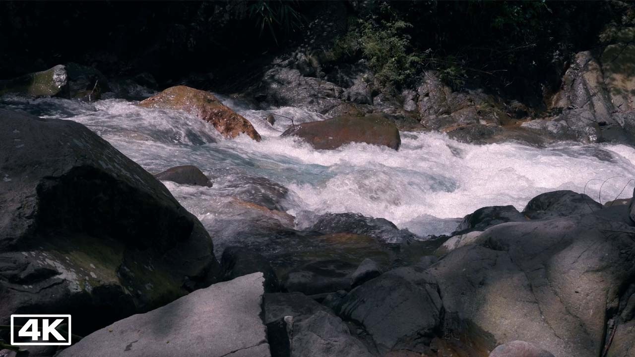 Forest River - Relaxing Stream Sounds for Sleep And Relax - No Birds - Nature Water Ambience 4K