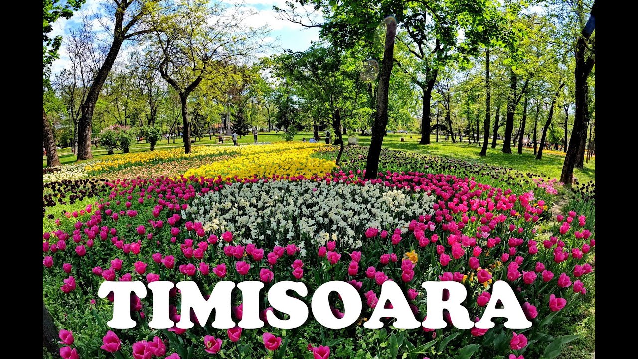 TIMISOARA - City of Flowers 4K (European Capital Of Culture 2023)