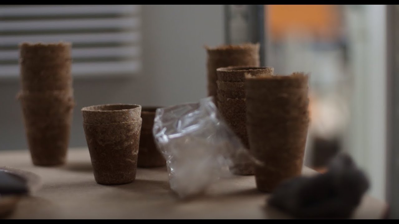 Ecodesign in Practice 